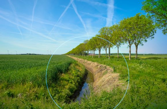 为什么制造企业应该关注生物多样性