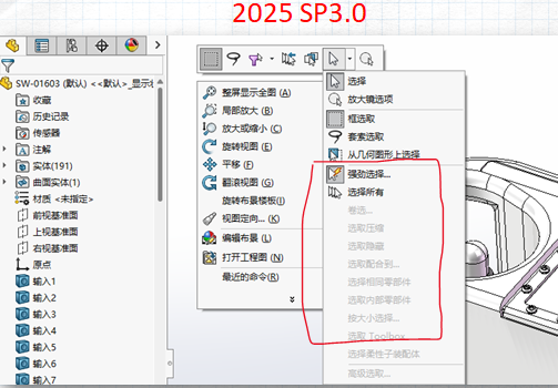 SW 2025 SP3.0