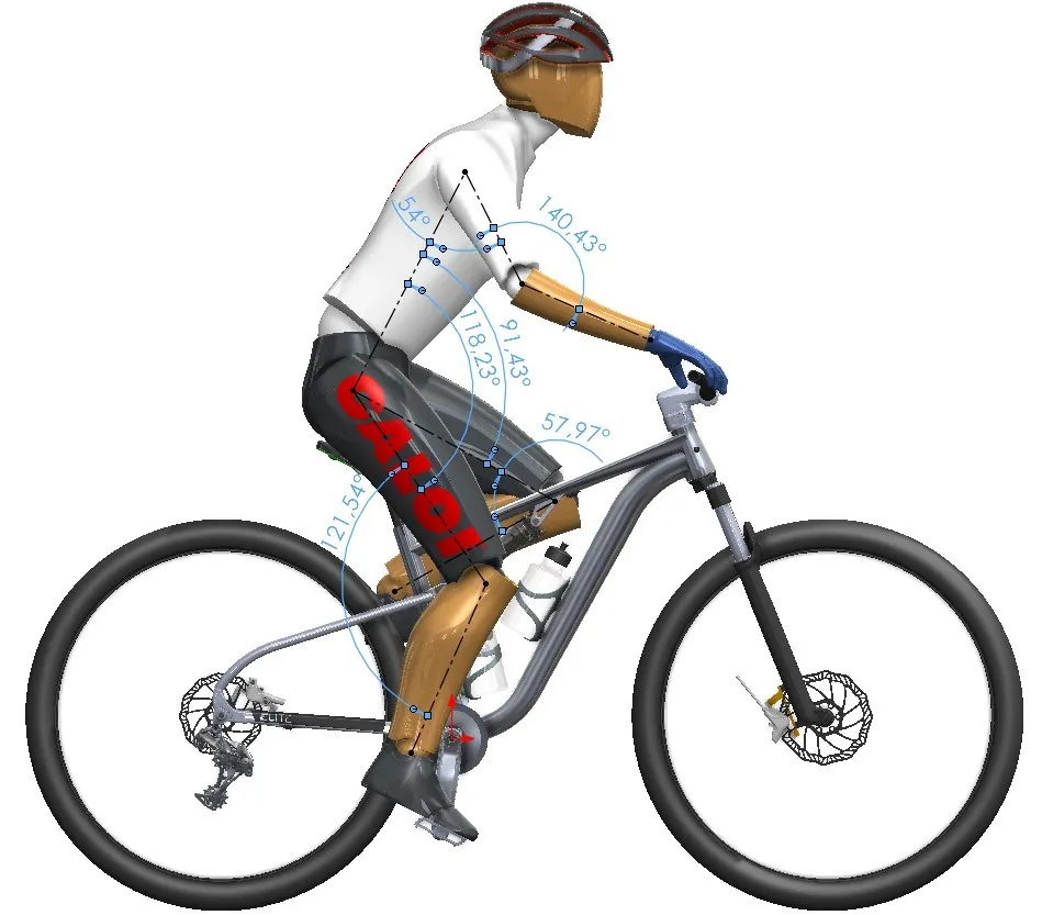 caloi-cycle-design.jpg.webp